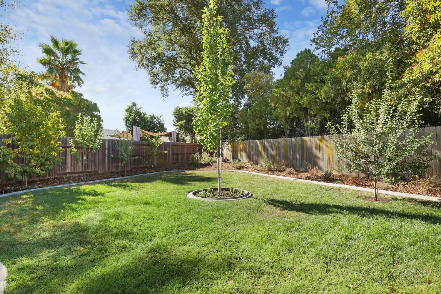 9964 Stone Oak Way