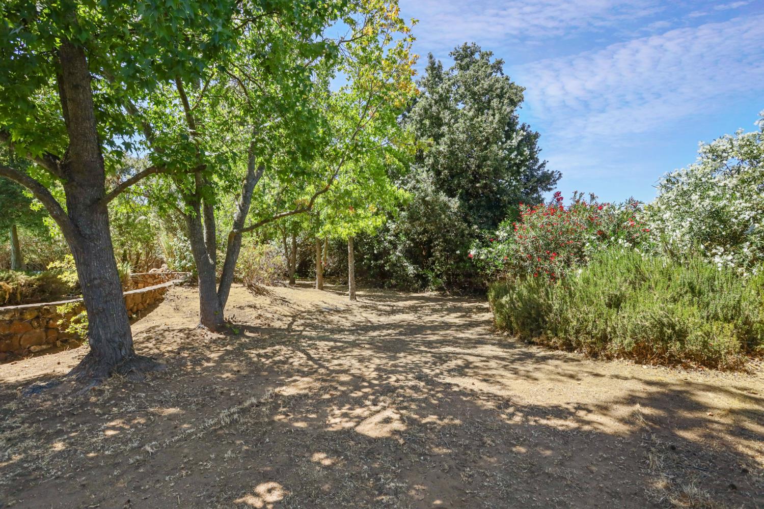 2924 Terra Verde Lane