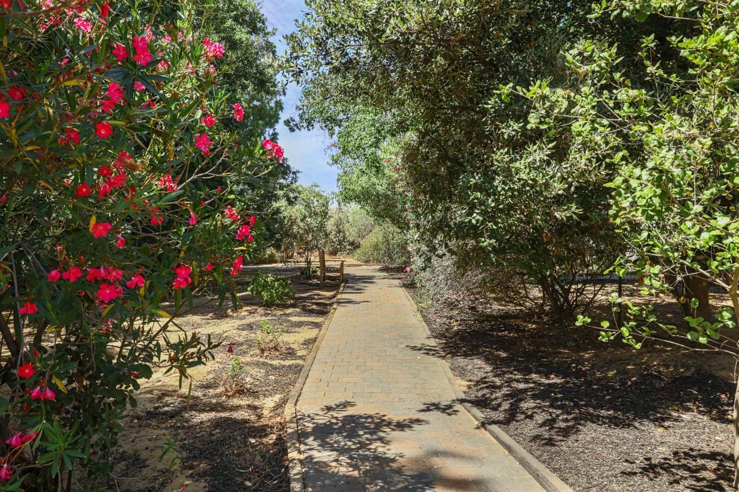 2924 Terra Verde Lane