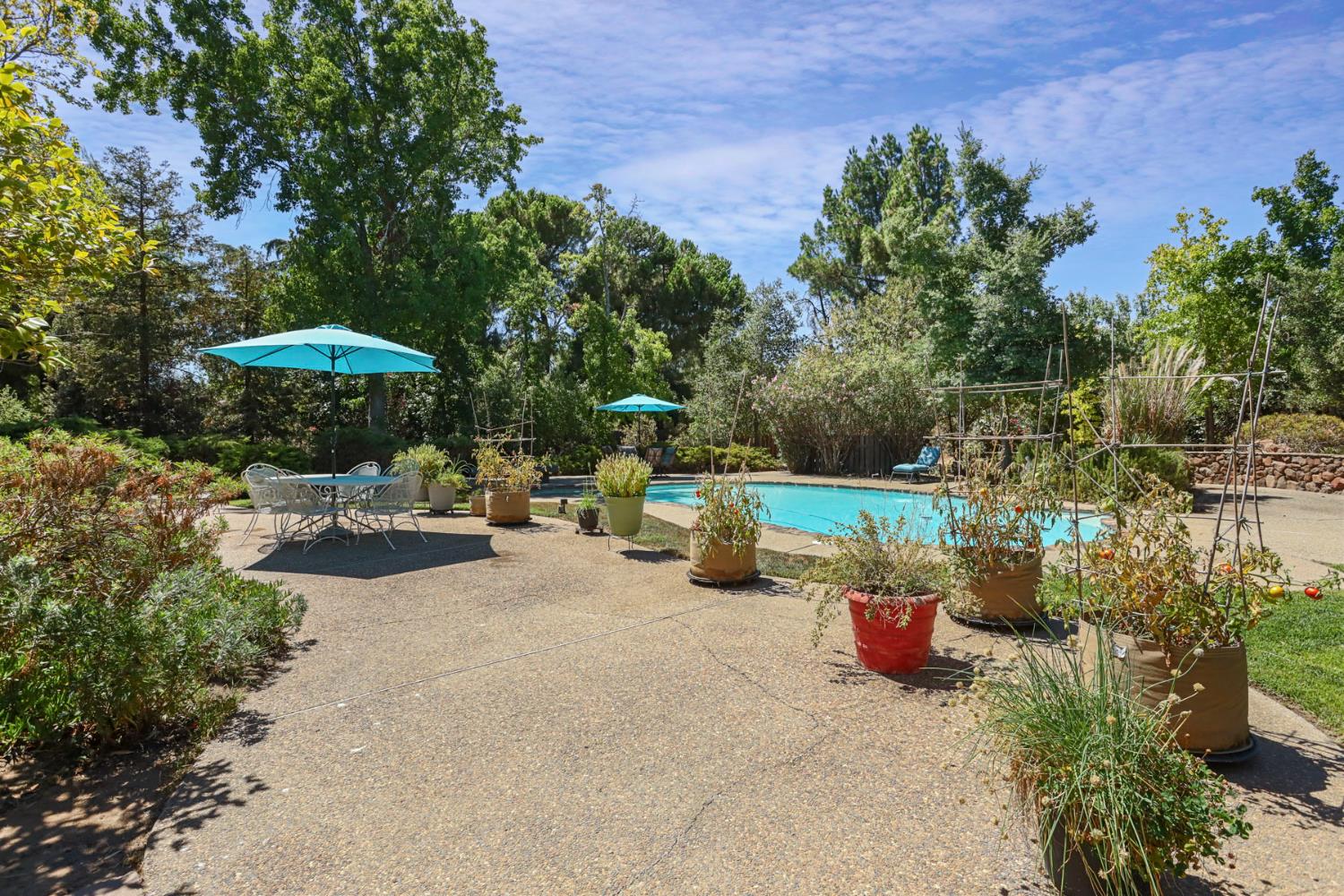 2924 Terra Verde Lane