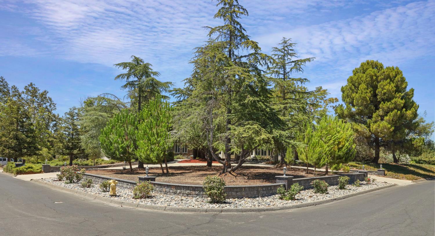 2924 Terra Verde Lane