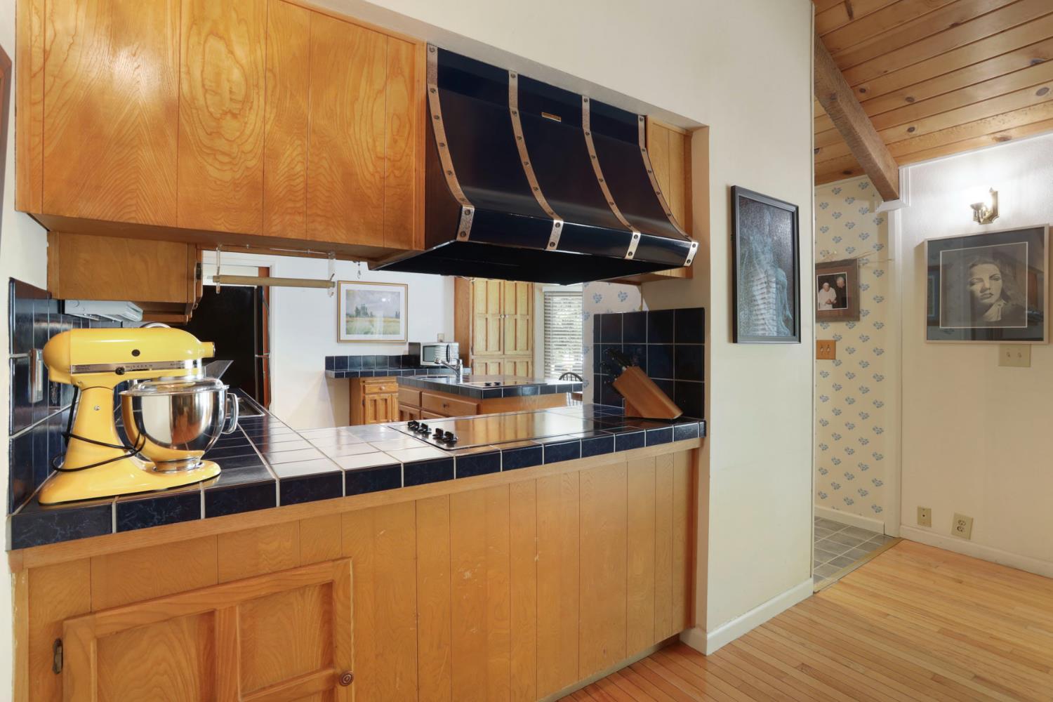 2924 Terra Verde Lane