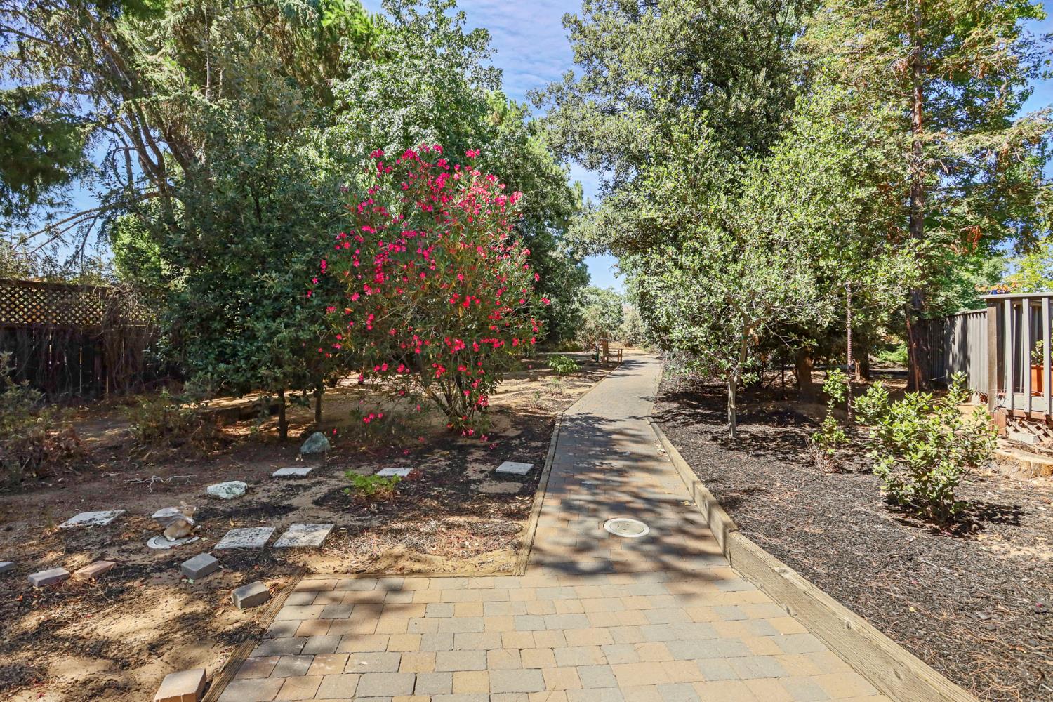 2924 Terra Verde Lane