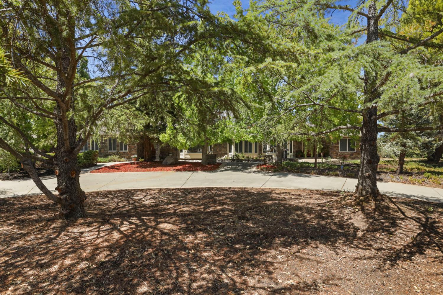 2924 Terra Verde Lane