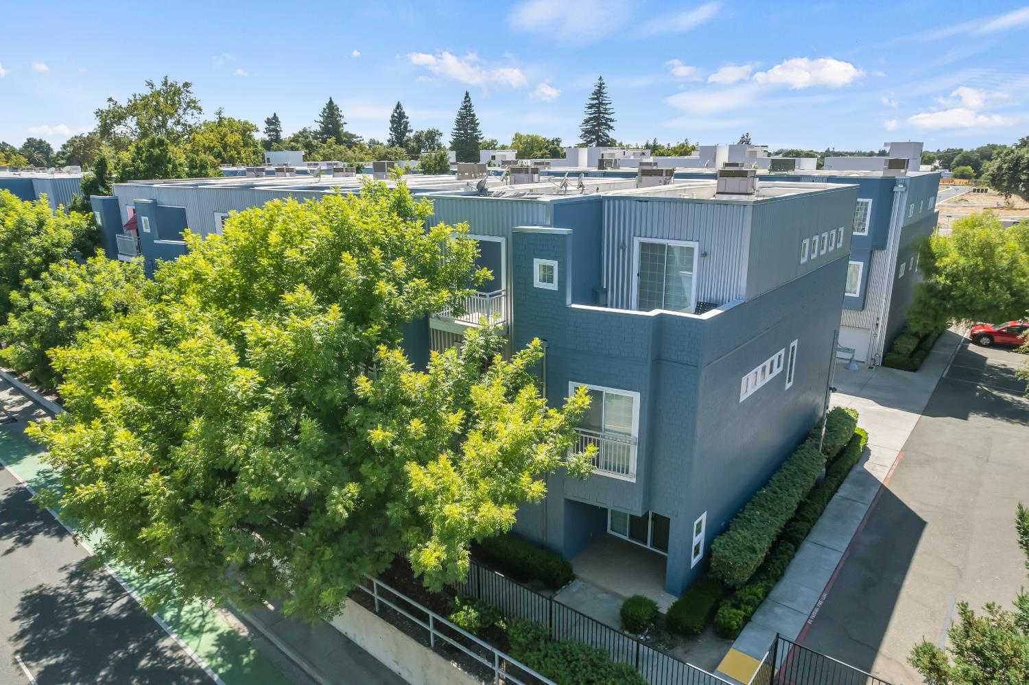 403 Harriet Lane