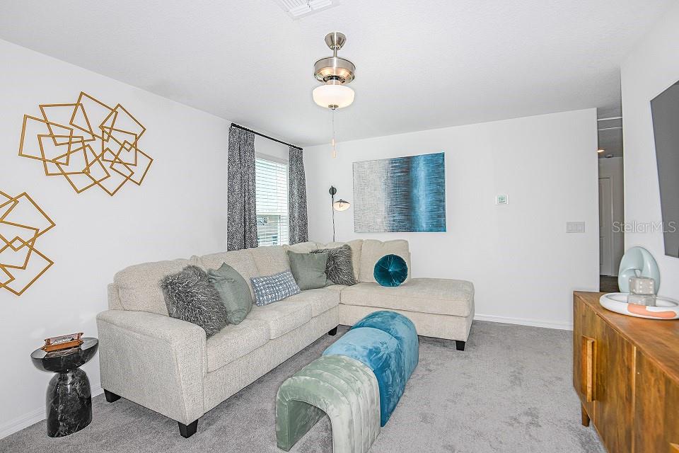 11796 RADIANT SHORE LOOP