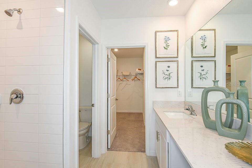 11796 RADIANT SHORE LOOP