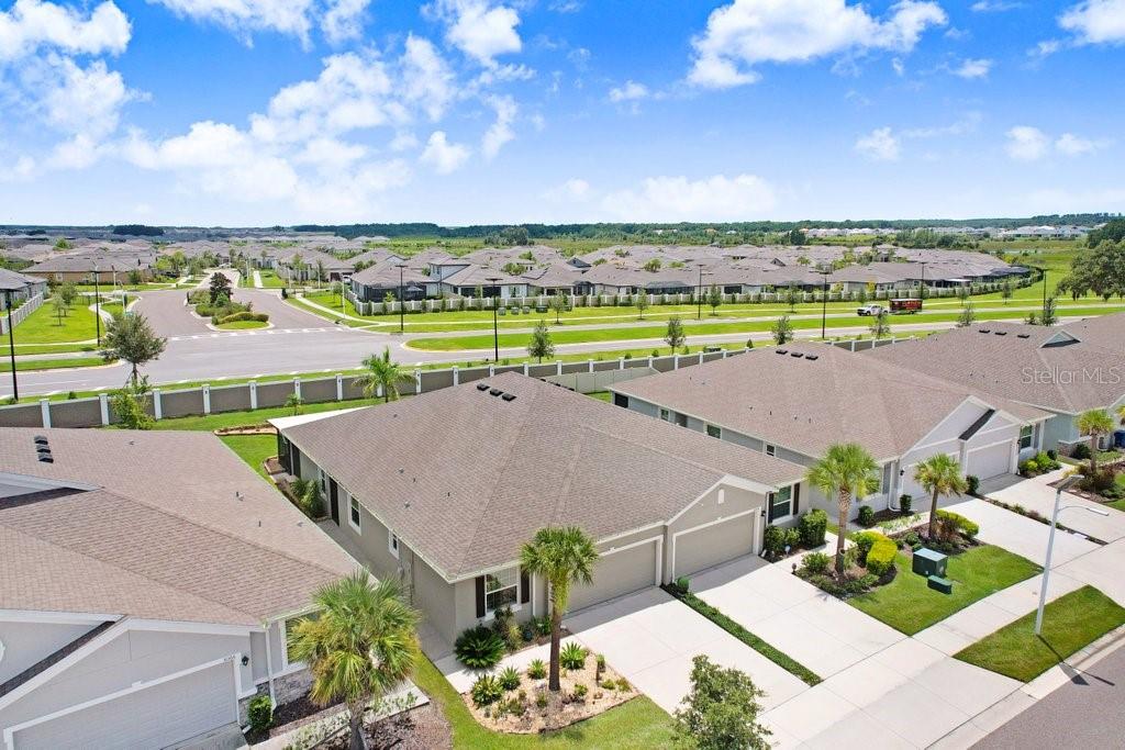 31360 MANGO FADE WAY