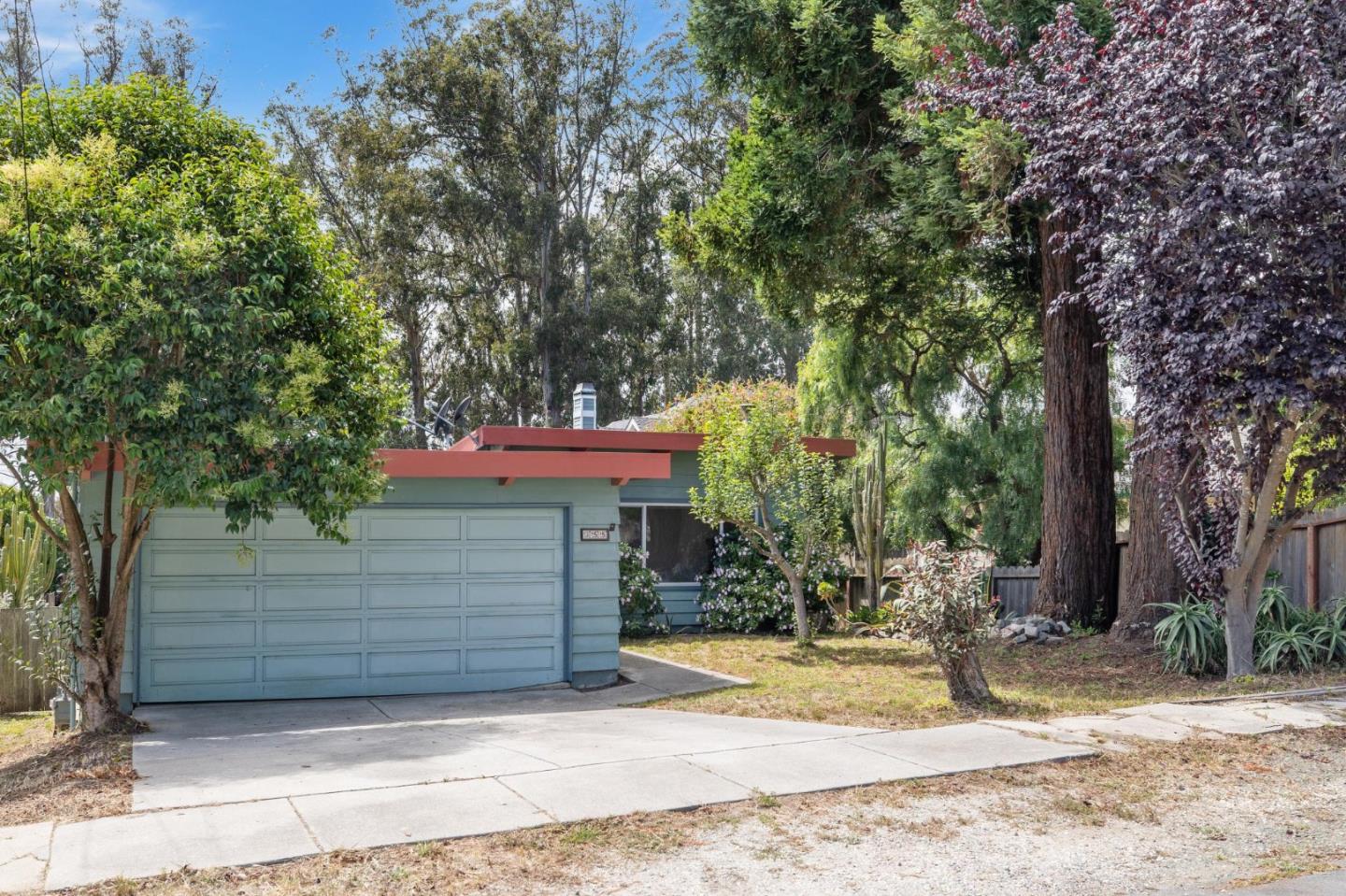 355 San Carlos AVE