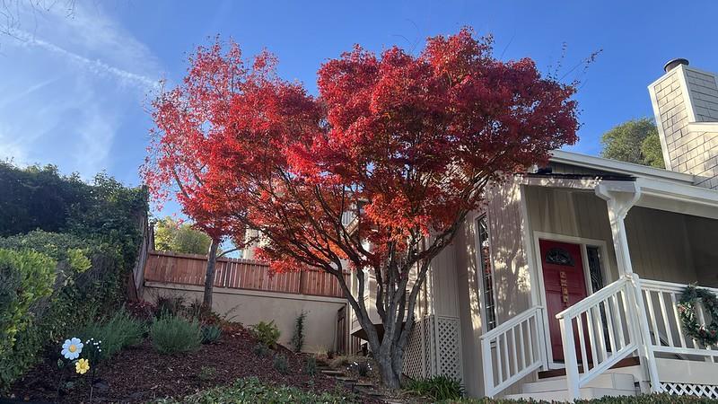 22208 Quinterno Court