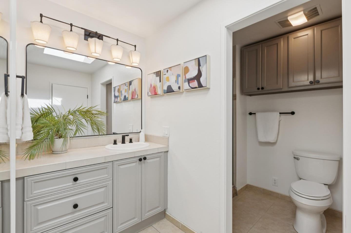Bathroom with a white vanity and mirror beside a separate toilet alcove with dark cabinets.