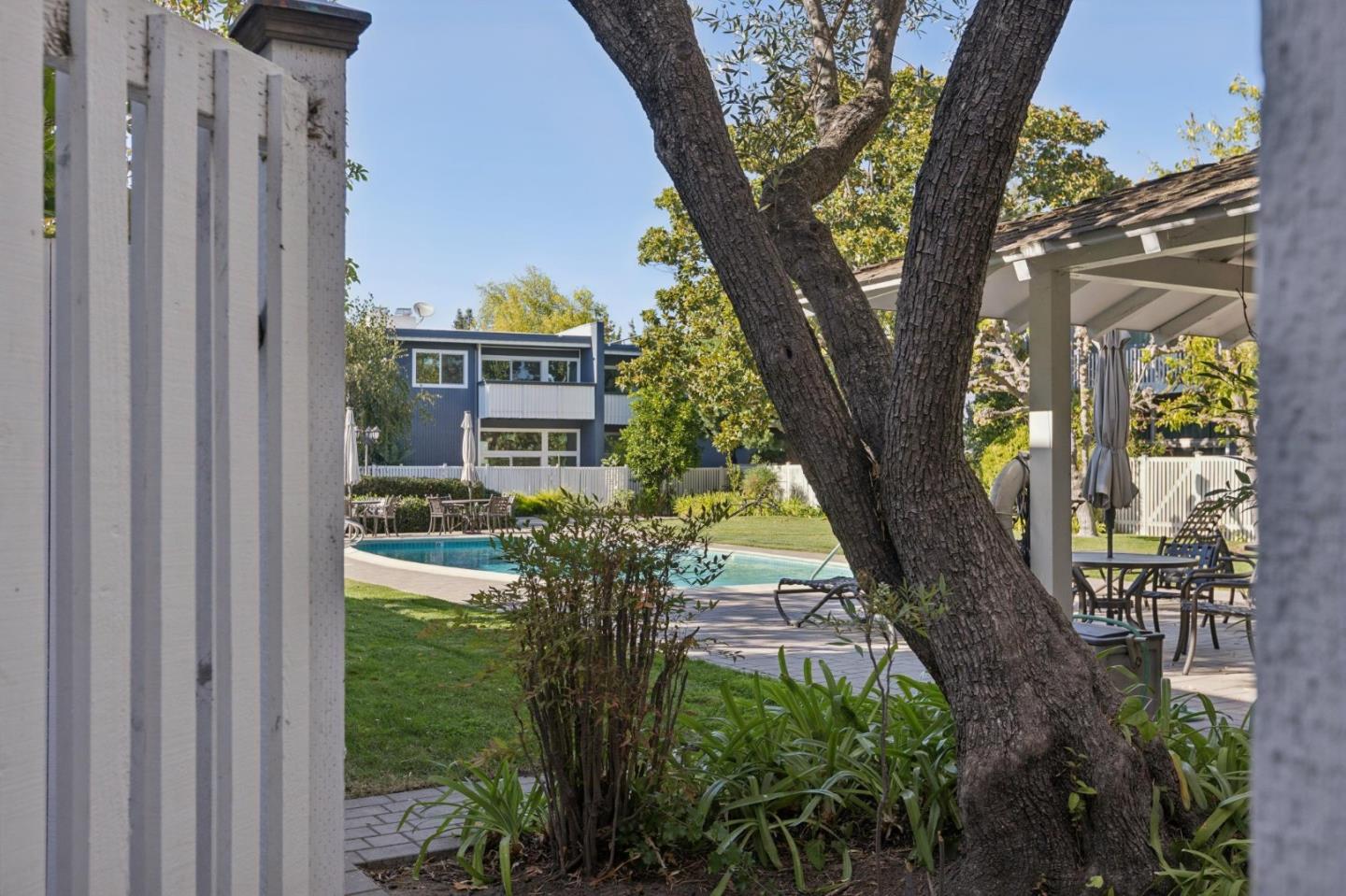 Outdoor swimming pool framed by mature trees, with patio seating and a modern blue building beyond.