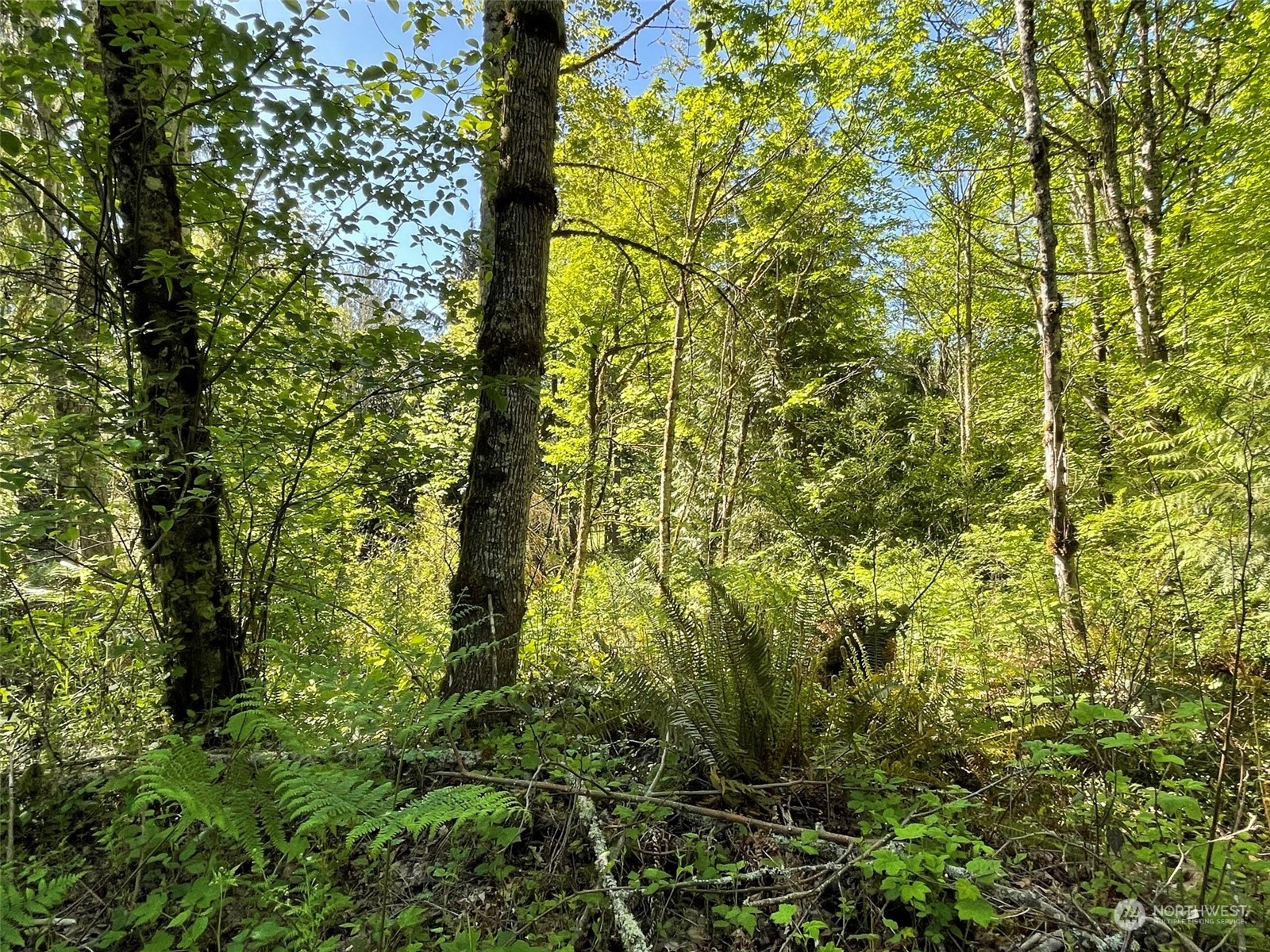 23903 144th Street E