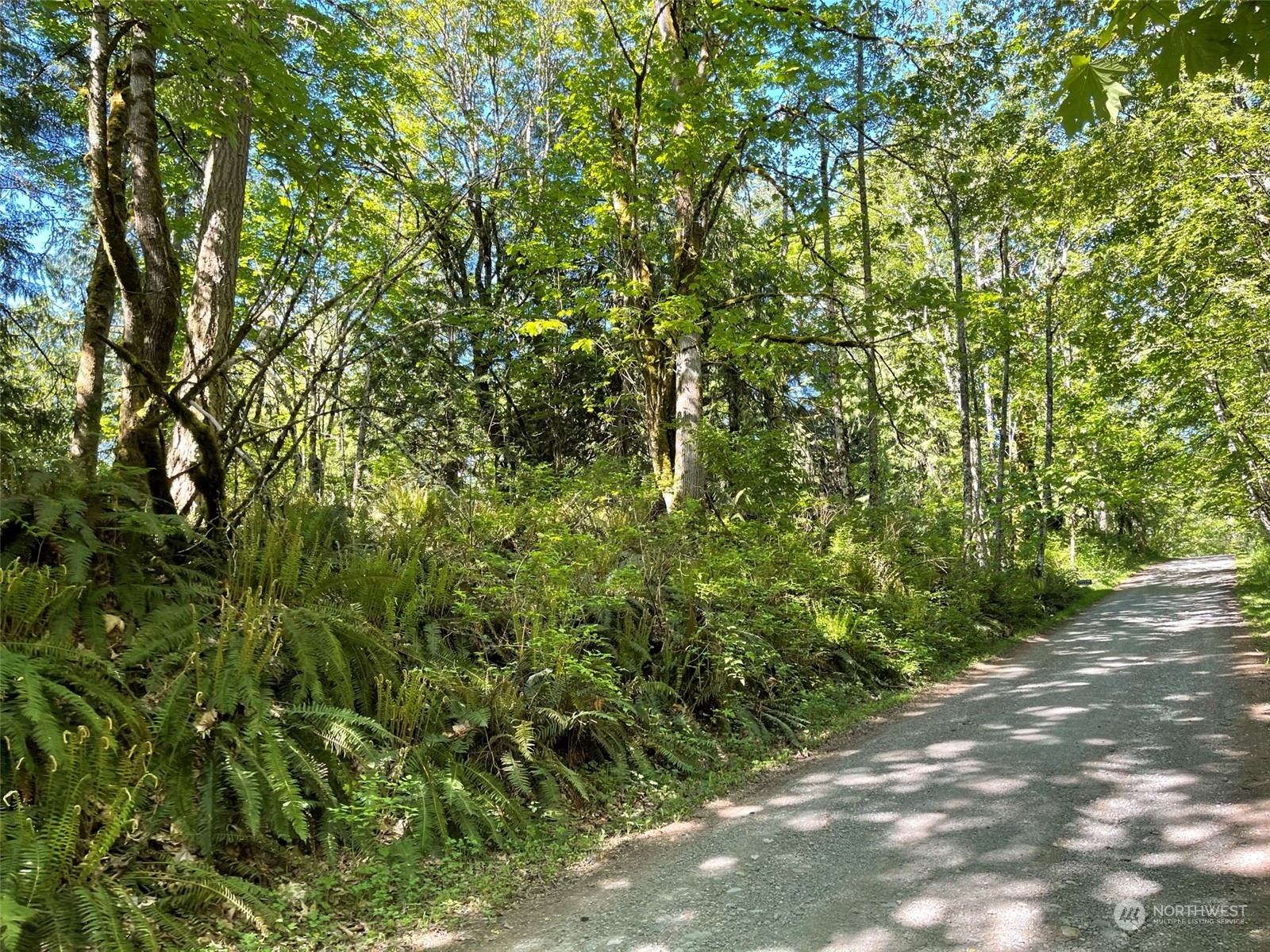 23903 144th Street E