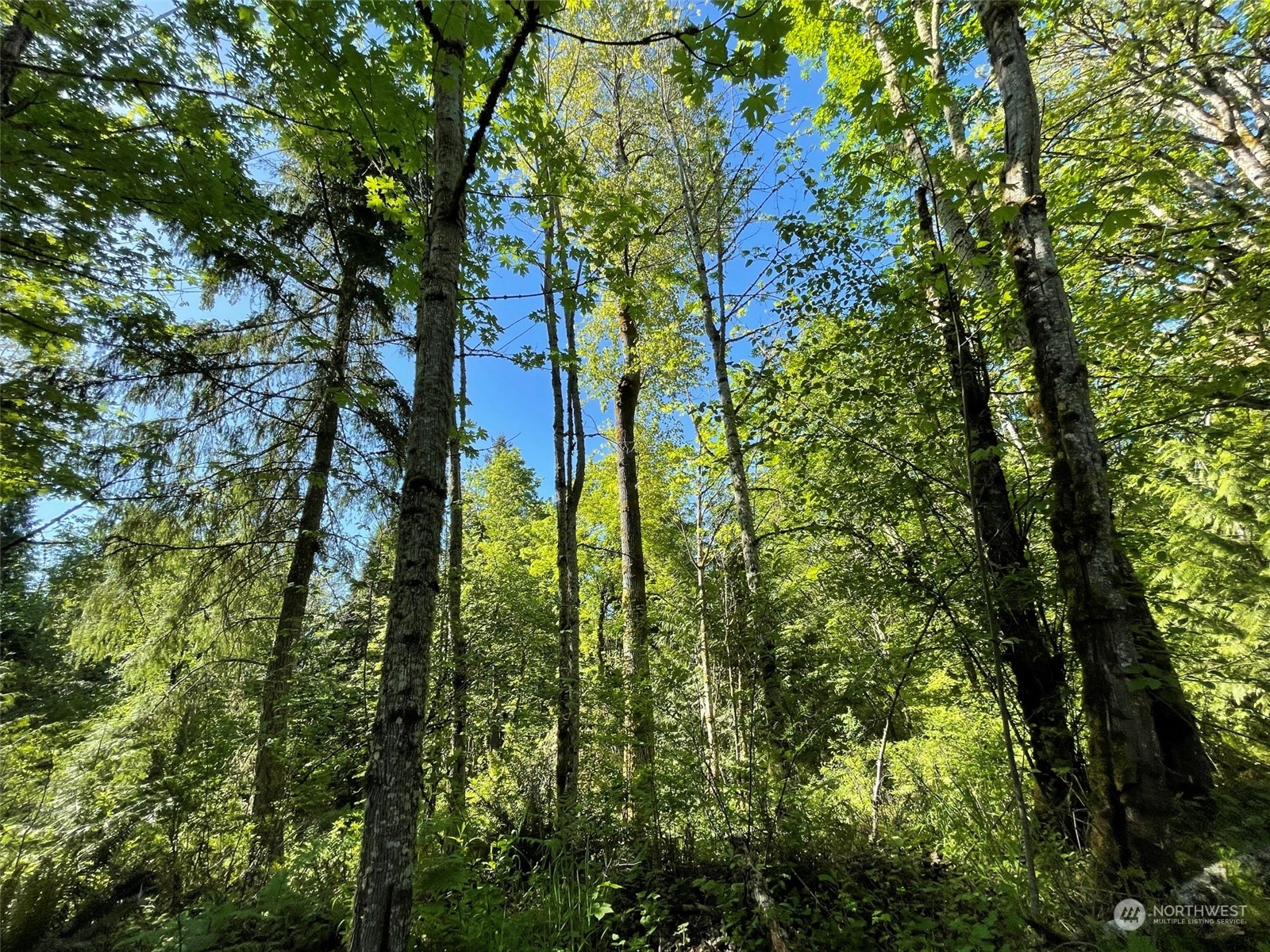 23903 144th Street E