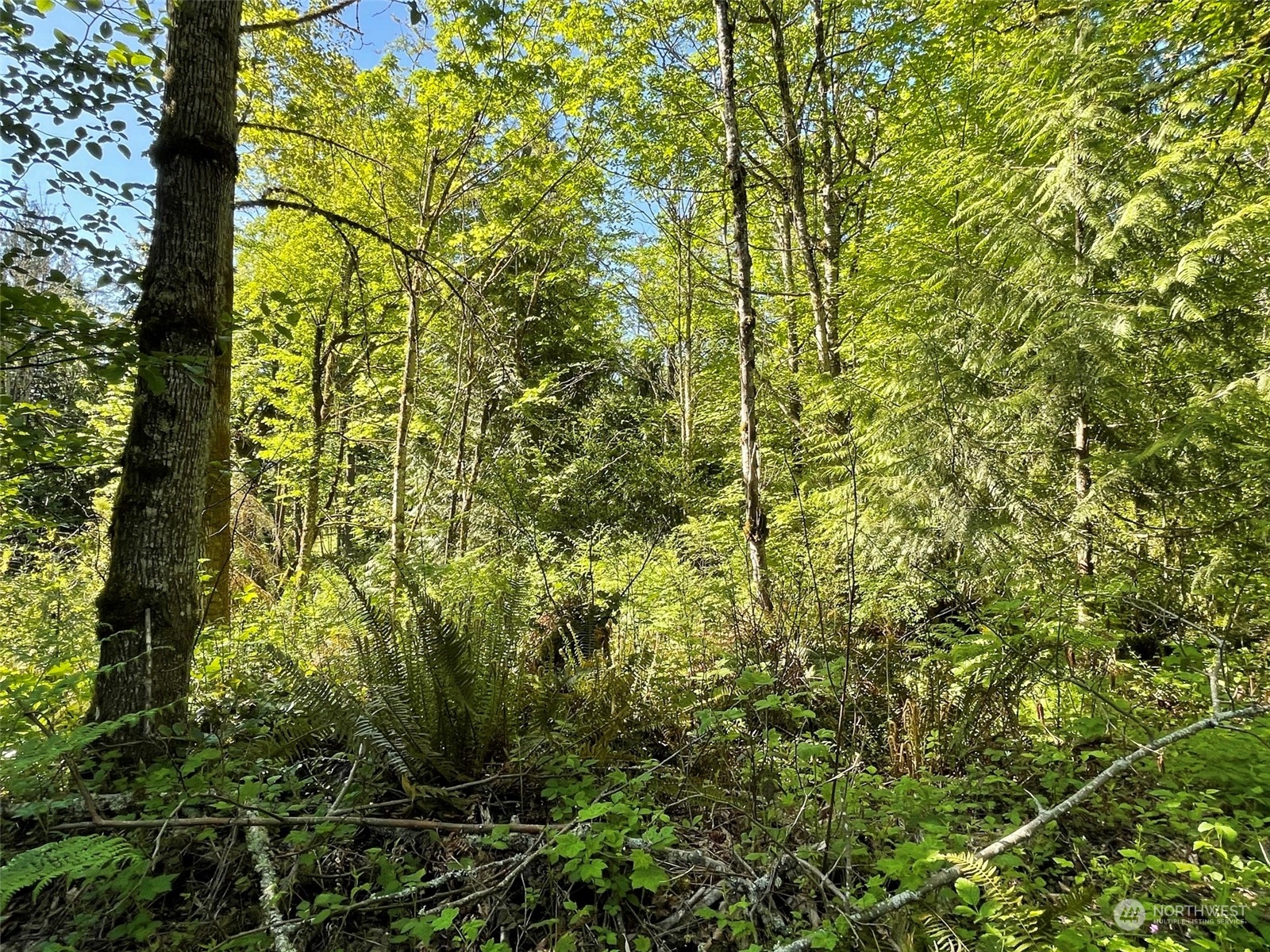 23903 144th Street E