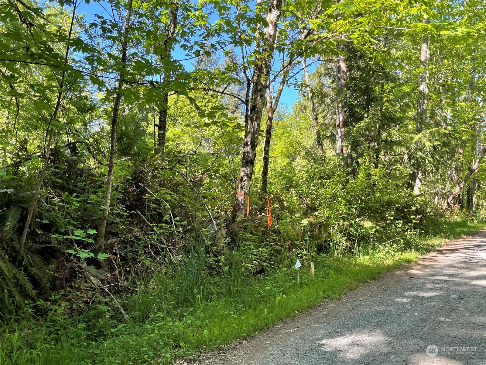 23903 144th Street E