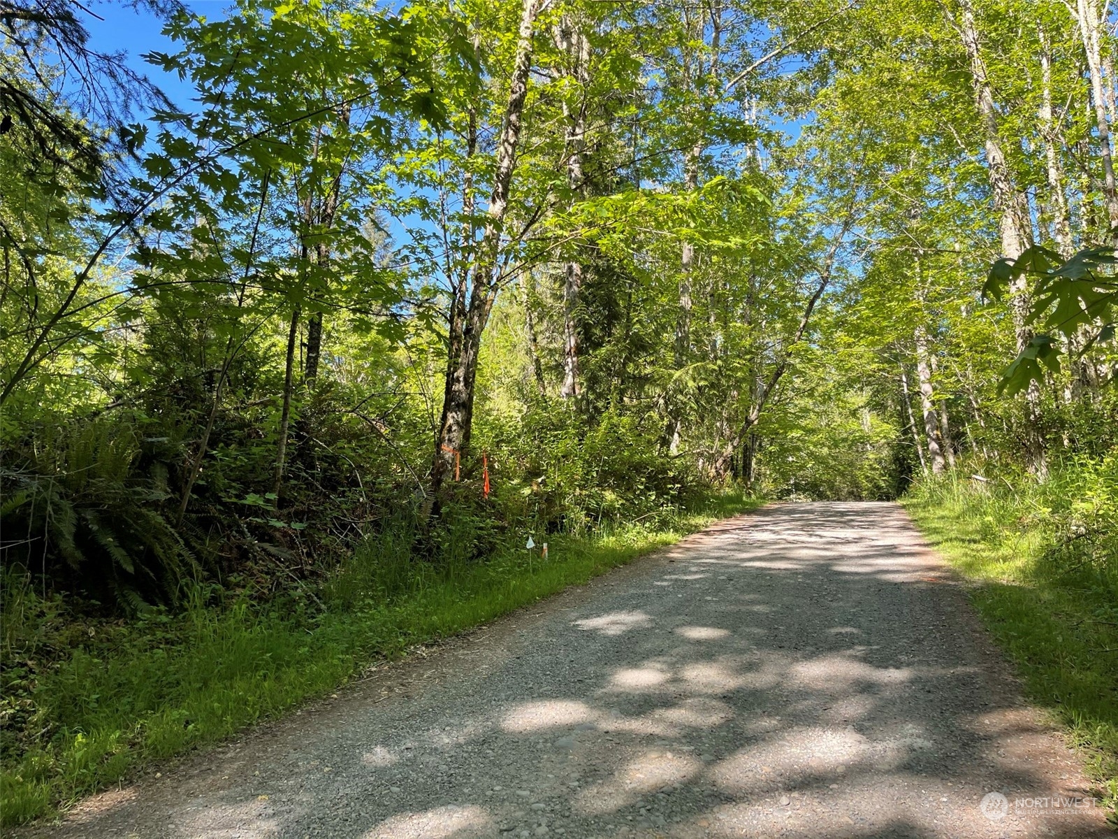 23903 144th Street E