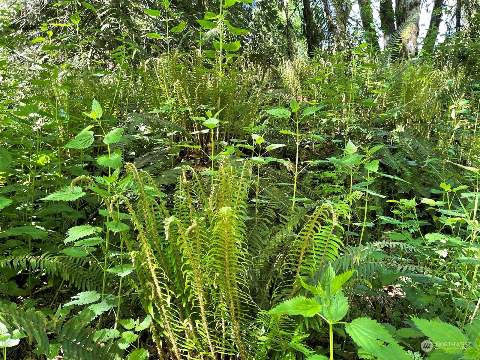 23903 144th Street E