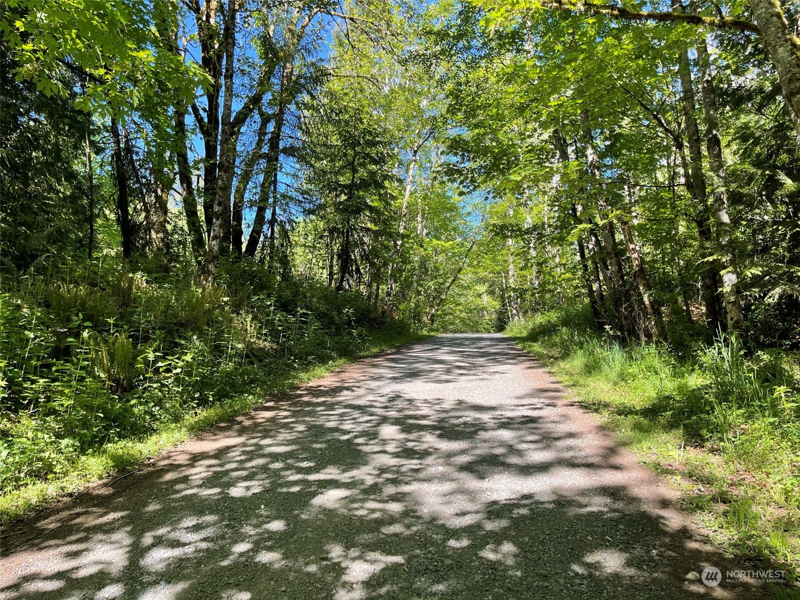 23903 144th Street E