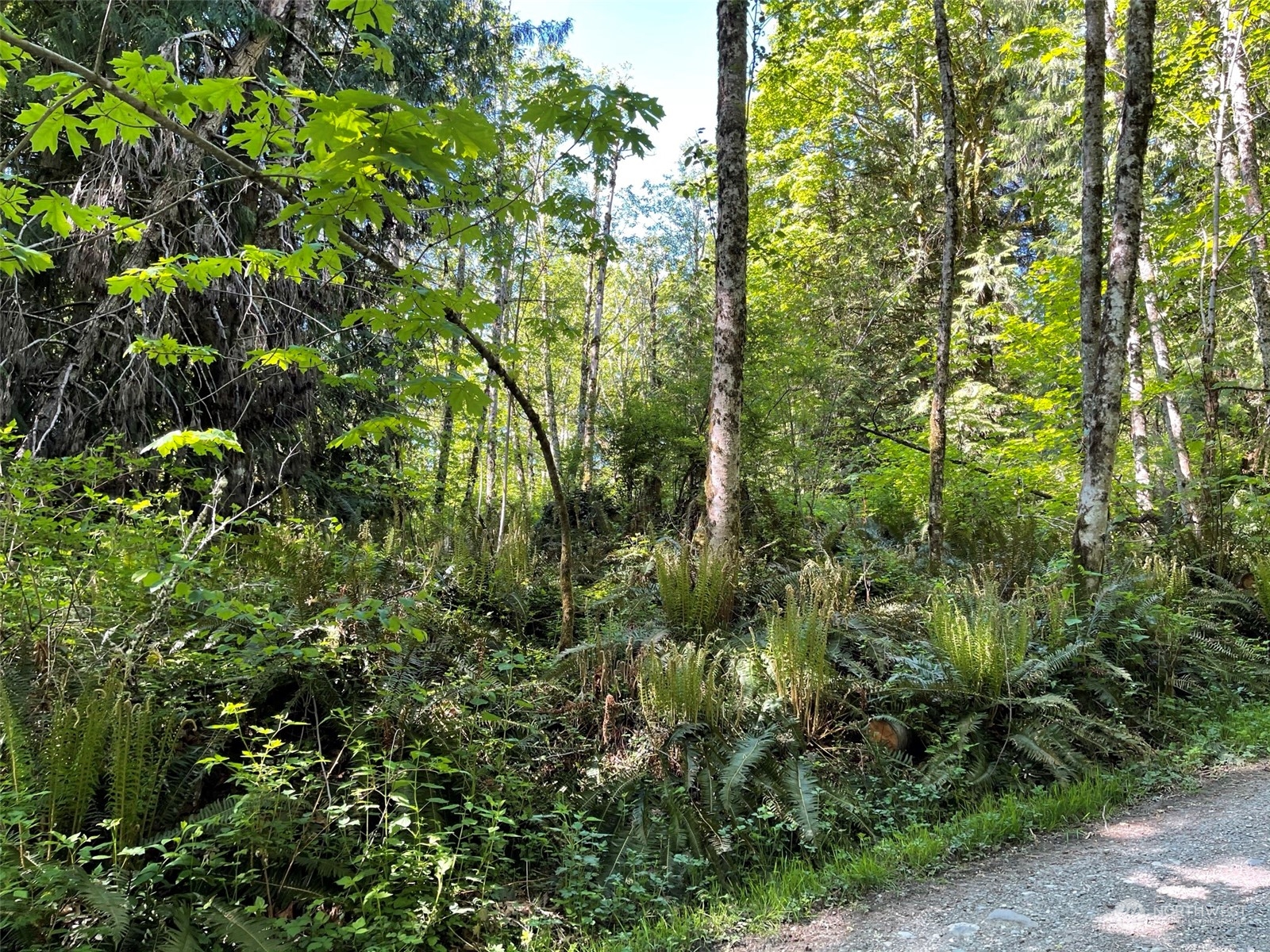 23903 144th Street E