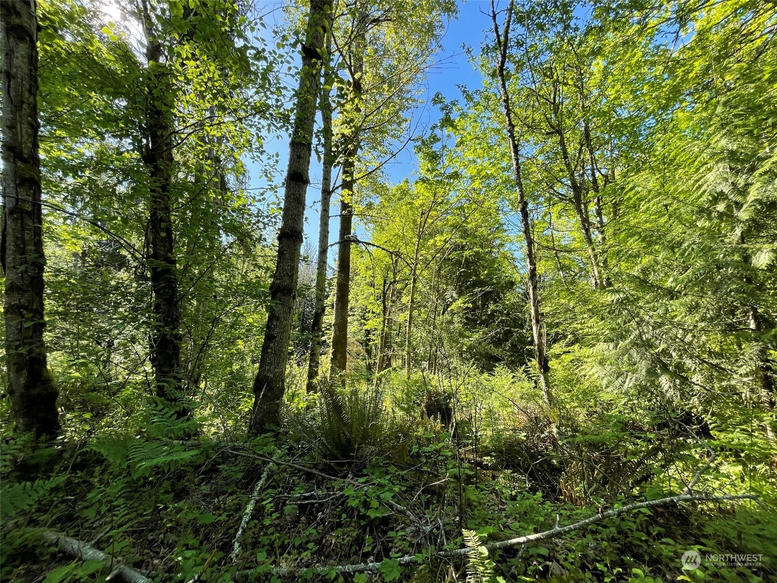 23903 144th Street E