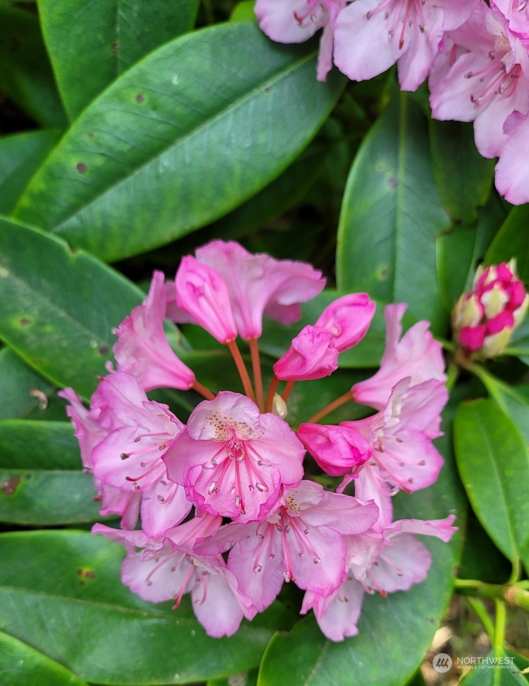 31860 Salsbury Hill Place NE