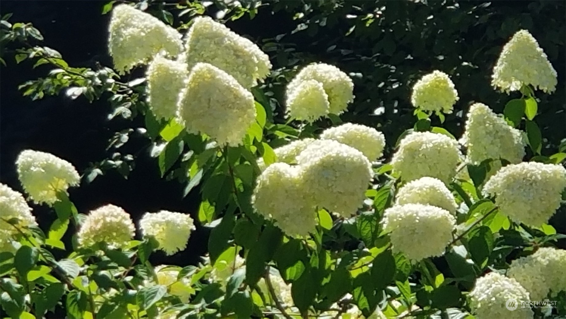 31860 Salsbury Hill Place NE