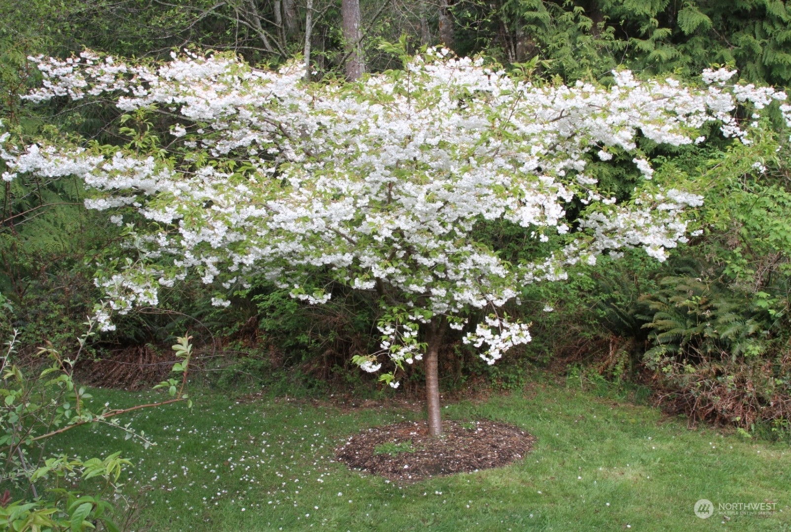 31860 Salsbury Hill Place NE