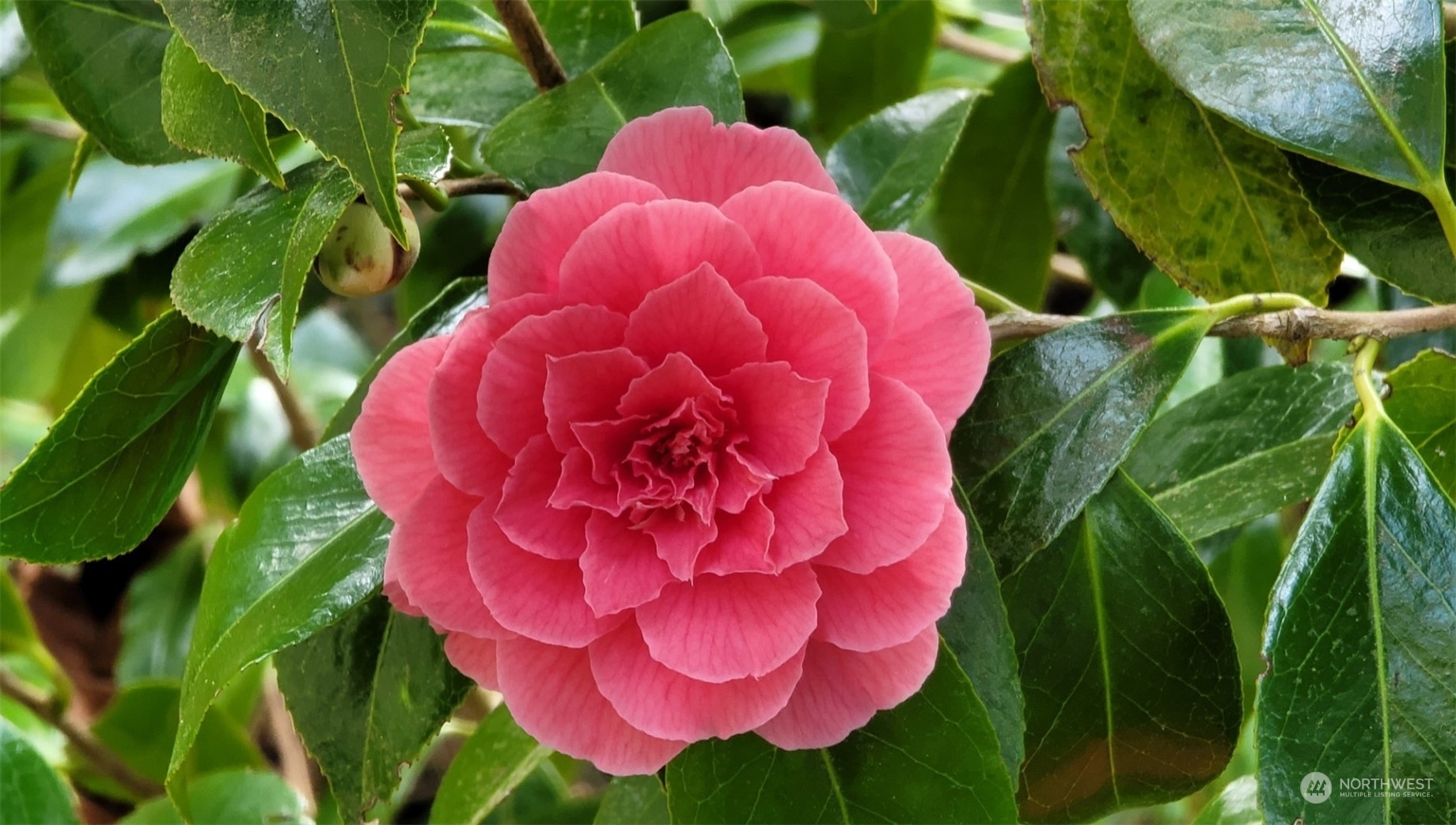 31860 Salsbury Hill Place NE