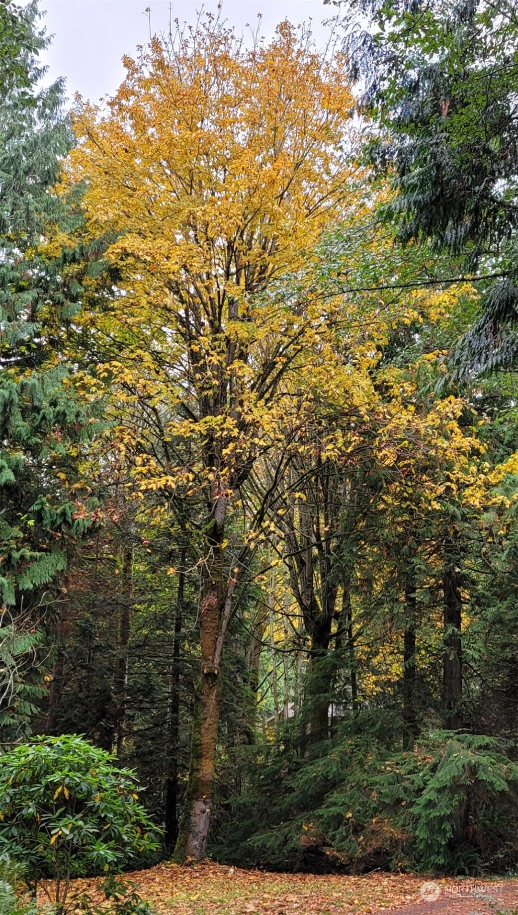 31860 Salsbury Hill Place NE