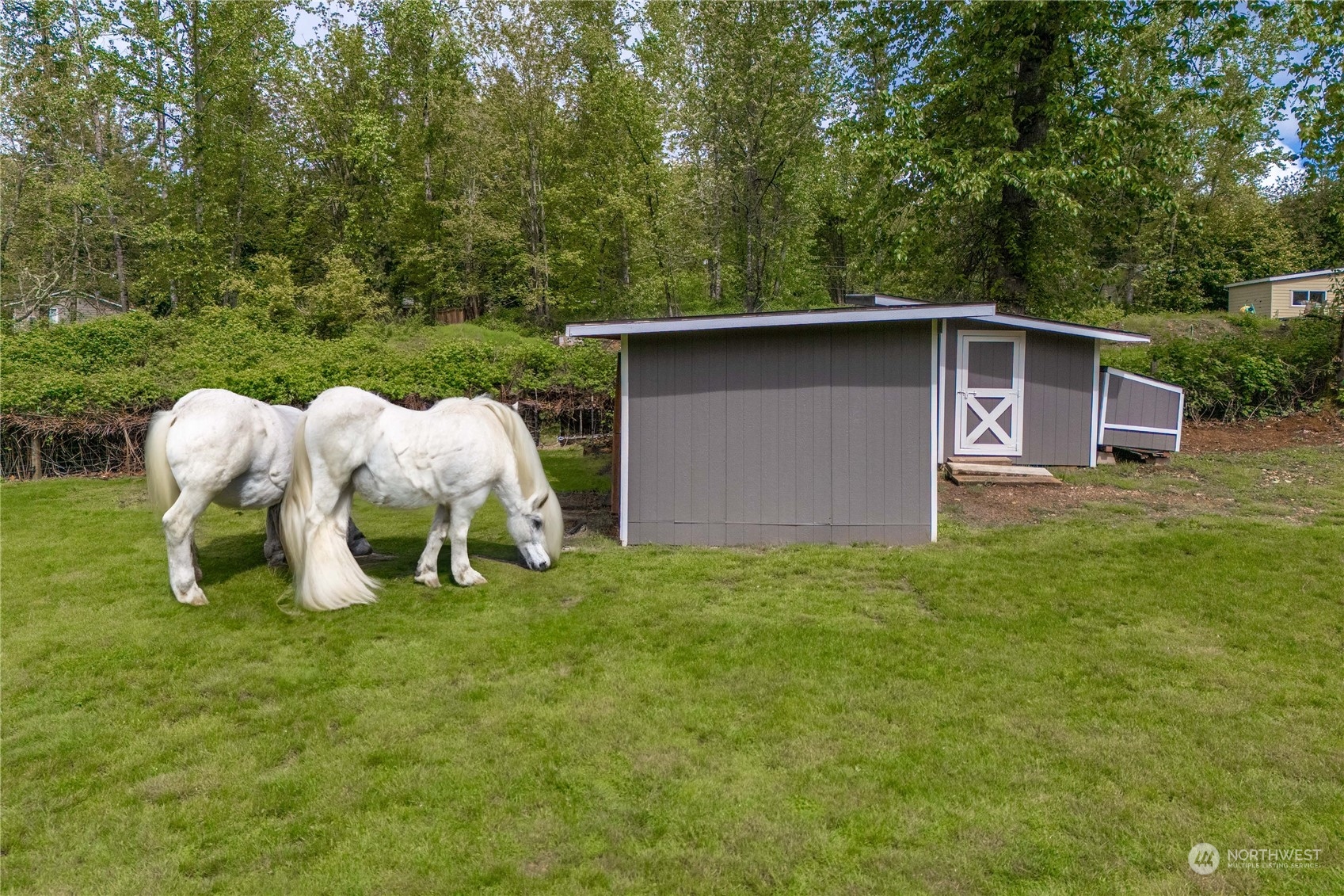 4317 264th Avenue NE