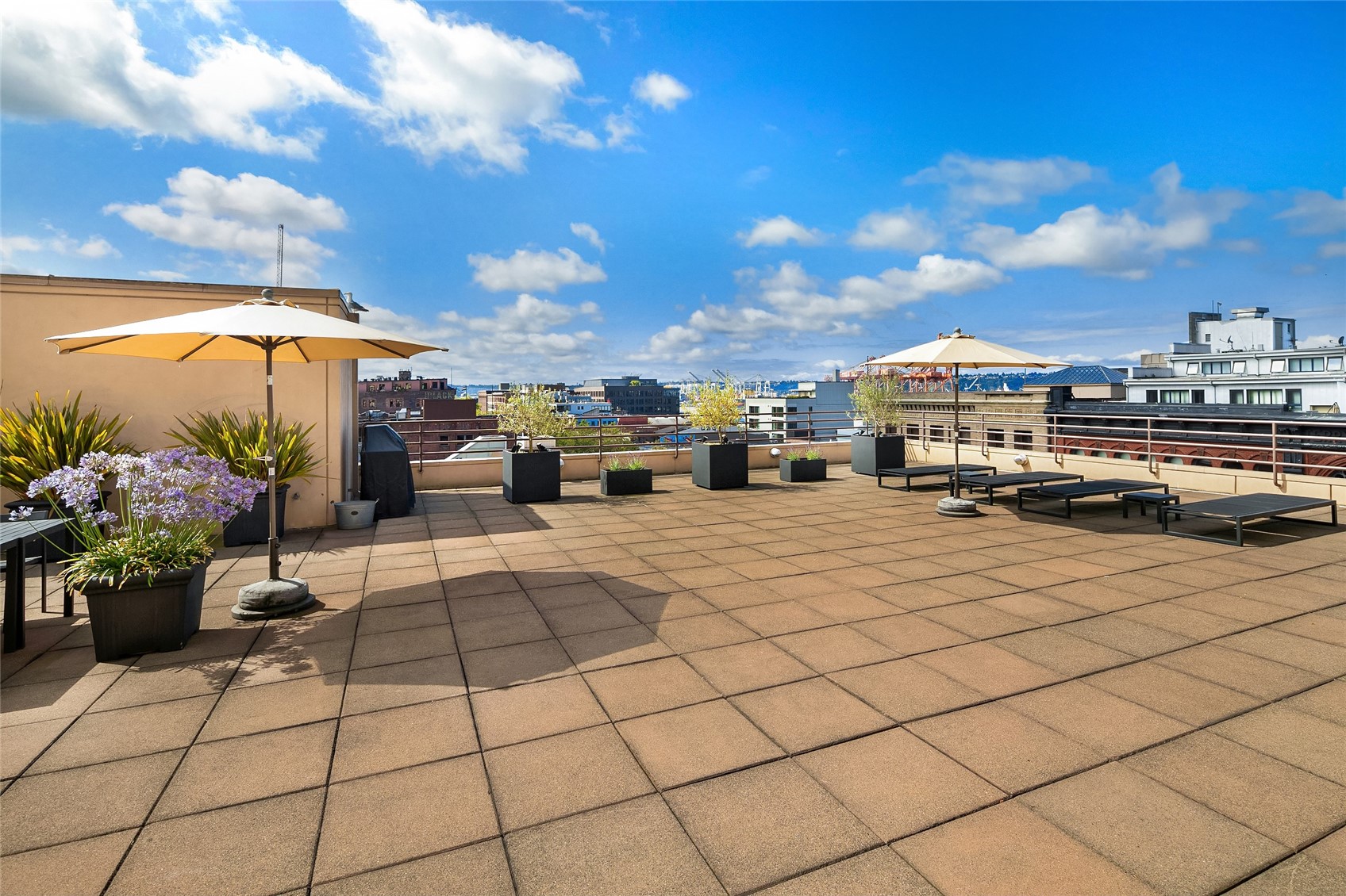 100 1st Avenue S Unit: 8