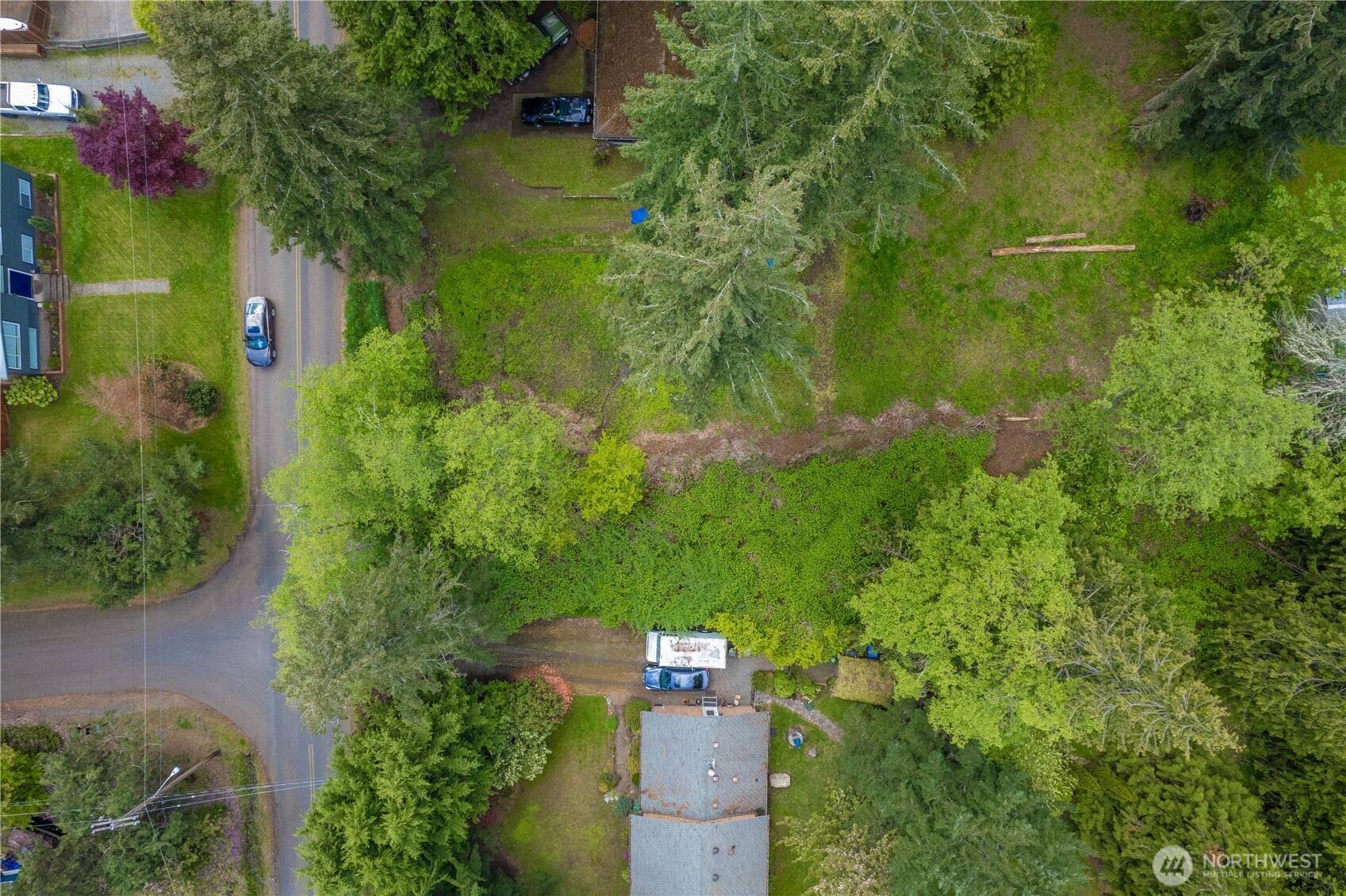 Aerial view of a tree-covered property with a large clearing beside a neighborhood road.