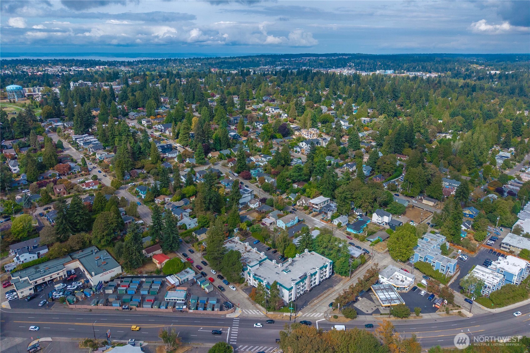 Aerial view of a leafy Seattle neighborhood, with homes, apartment buildings, and a road in the foreground.