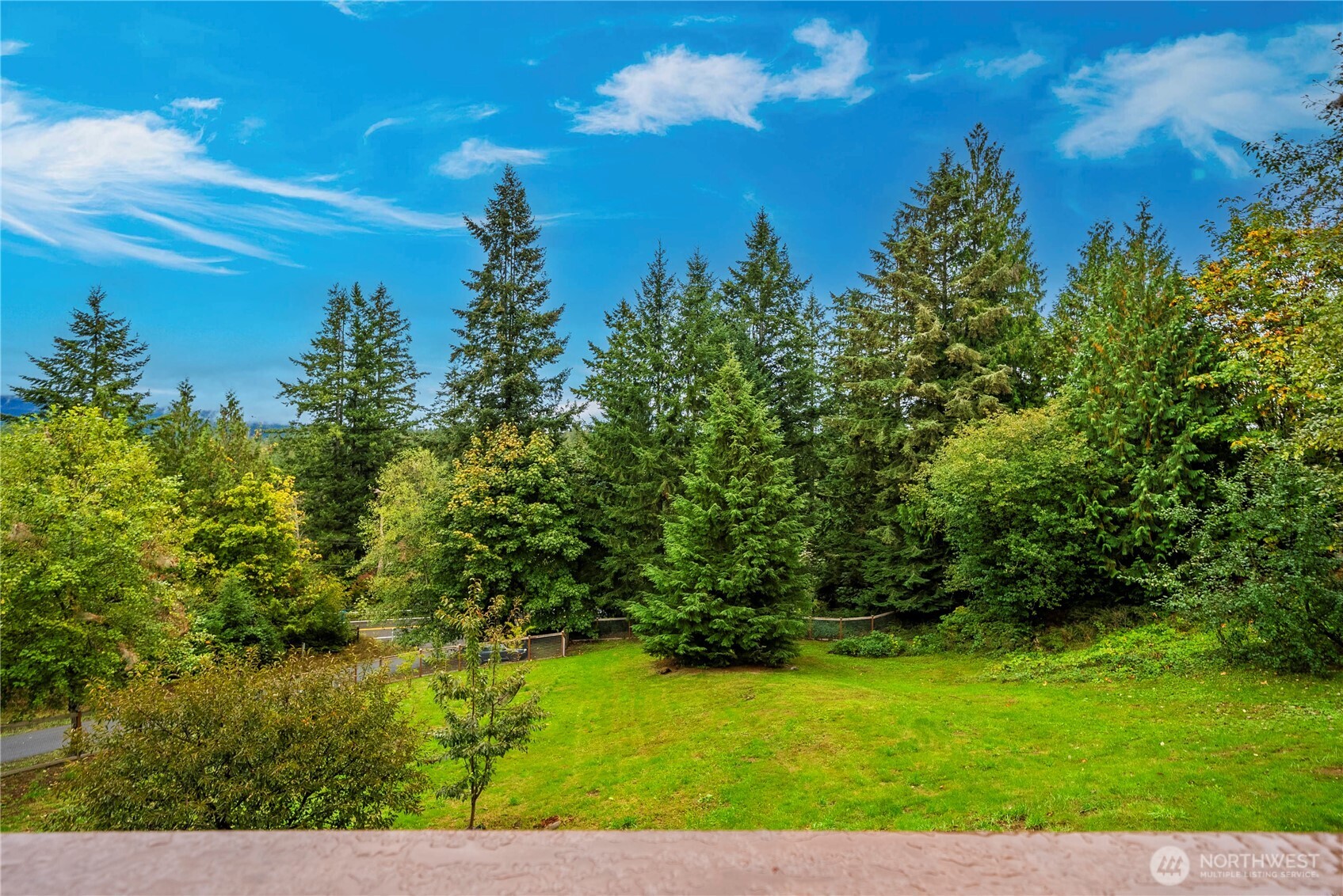 Green lawn bordered by evergreens, shrubs, and a fenced road.