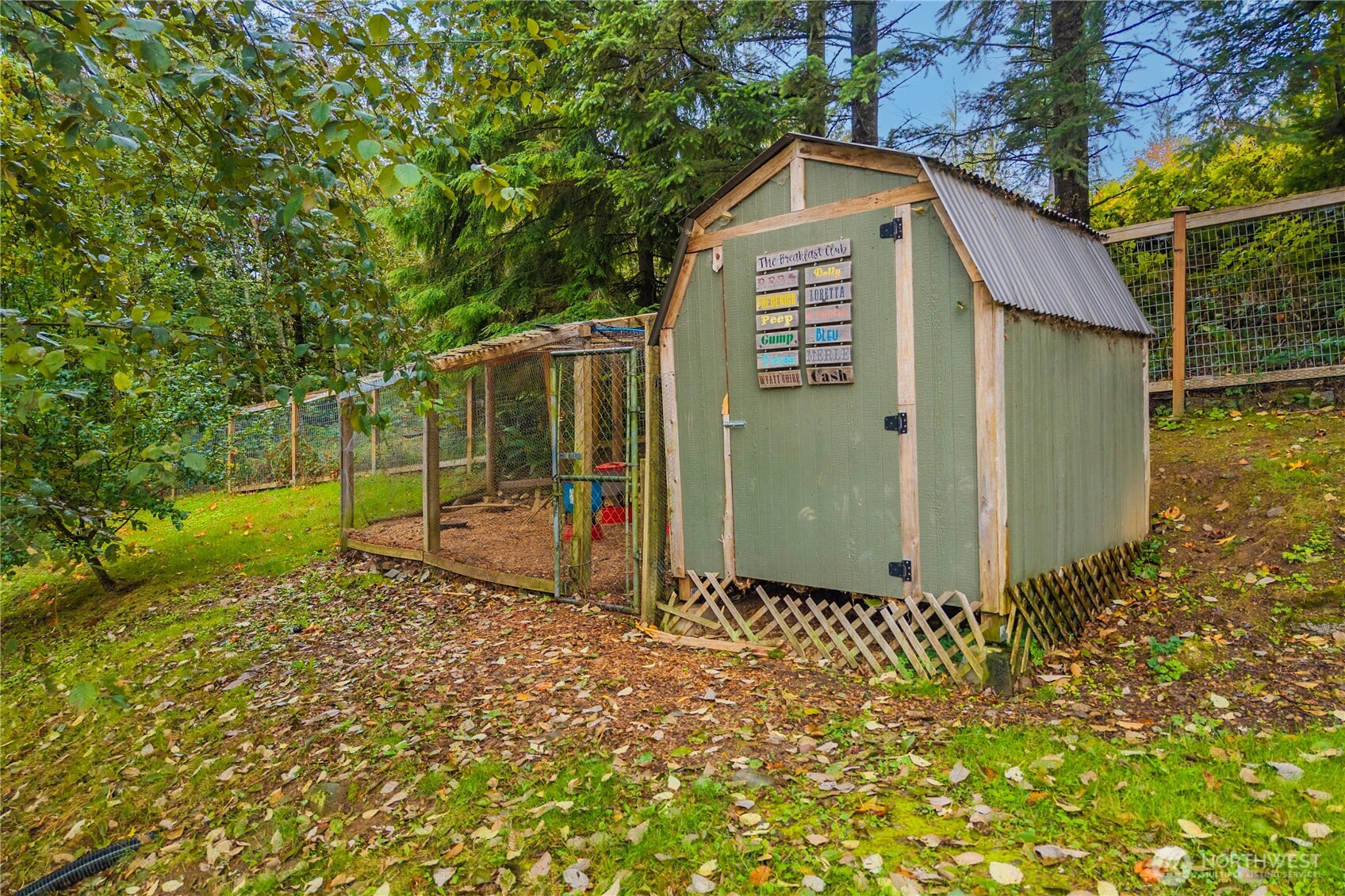 Green shed with a corrugated roof beside a fenced chicken run in a wooded yard.