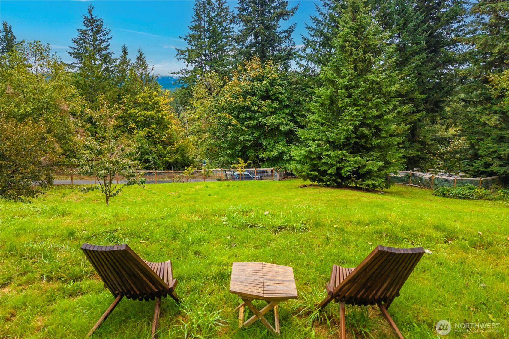 Grassy yard with wooden lounge chairs and table, fenced among tall trees.
