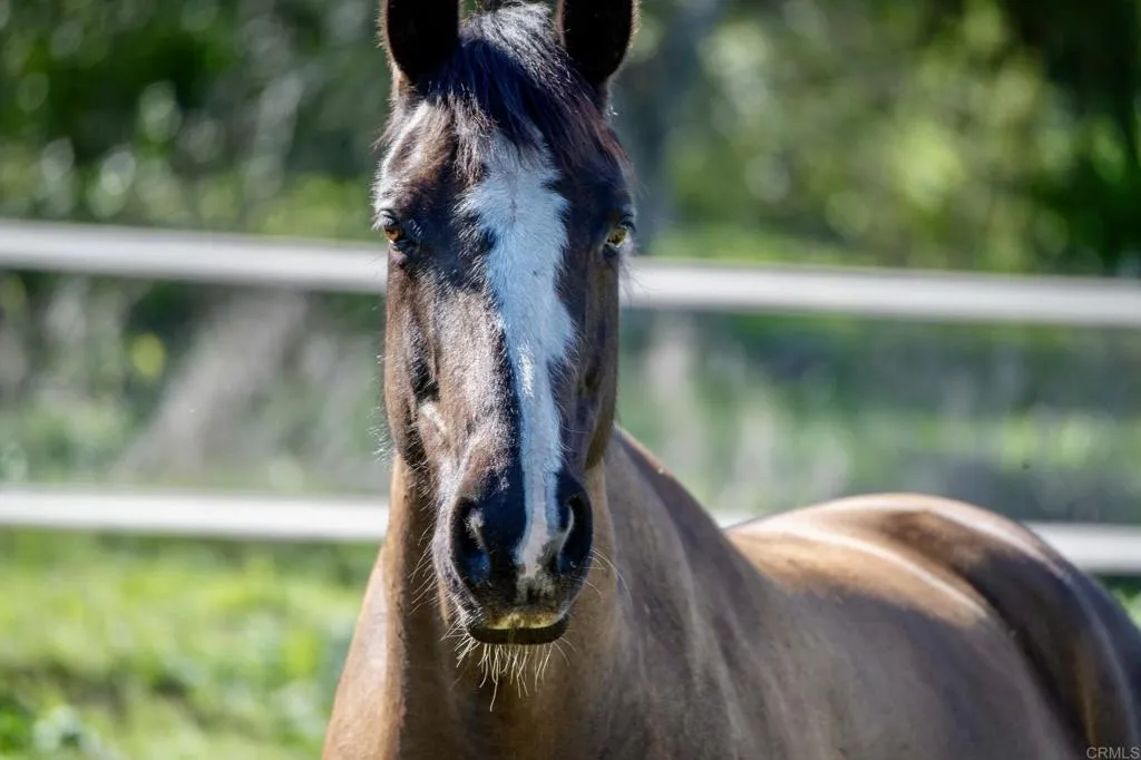 25230 Jesmond Dene Road