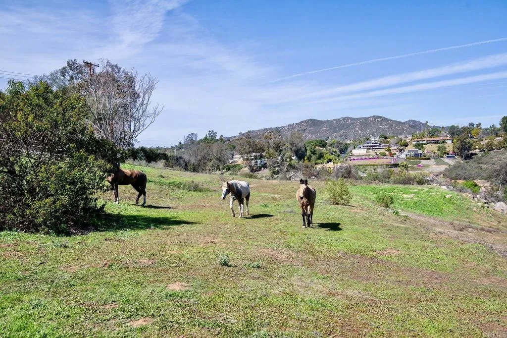 25230 Jesmond Dene Road