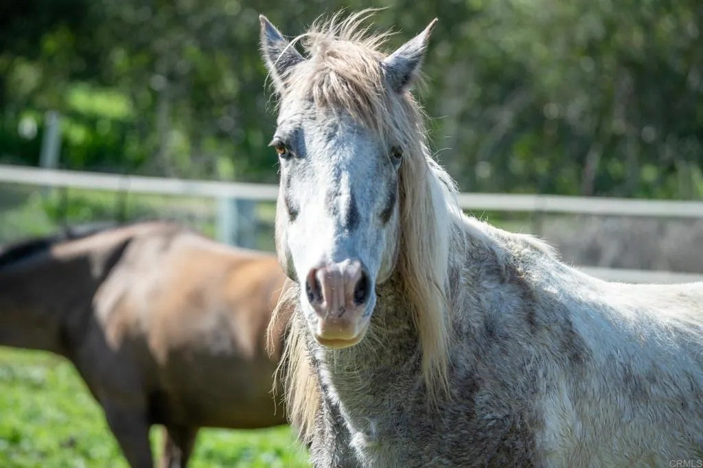 25230 Jesmond Dene Road