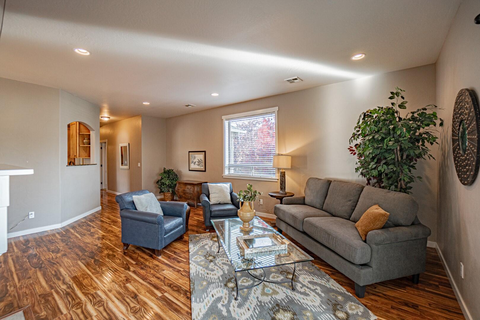 163 Willow Springs Drive