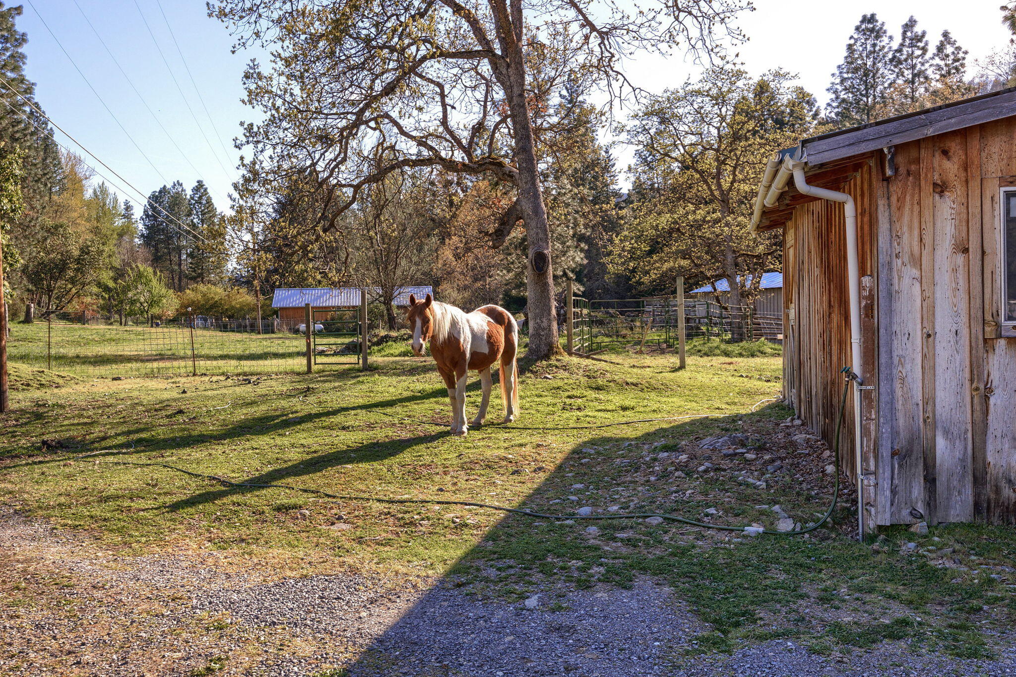 9658 Upper Applegate Road