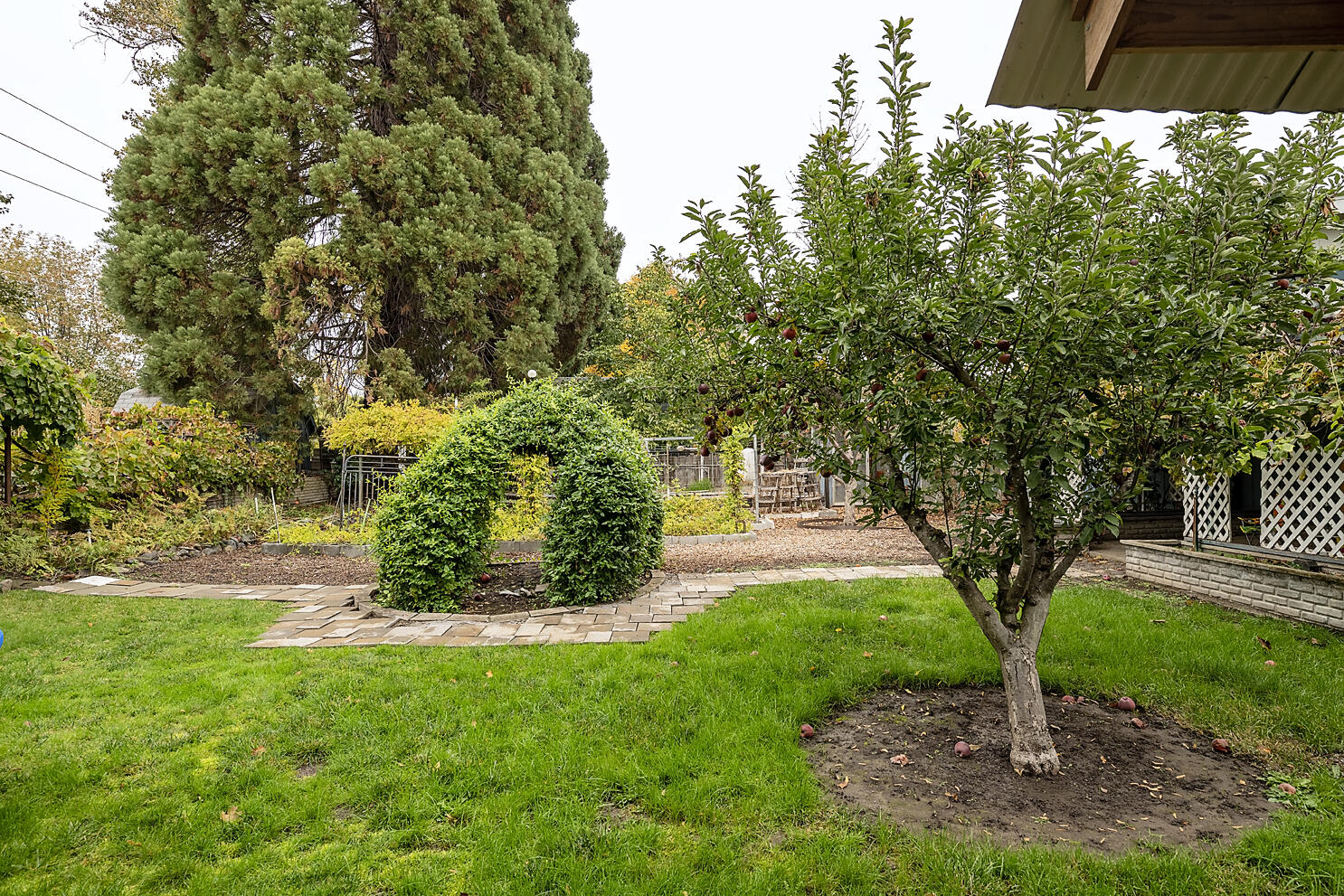 909 Comet Way