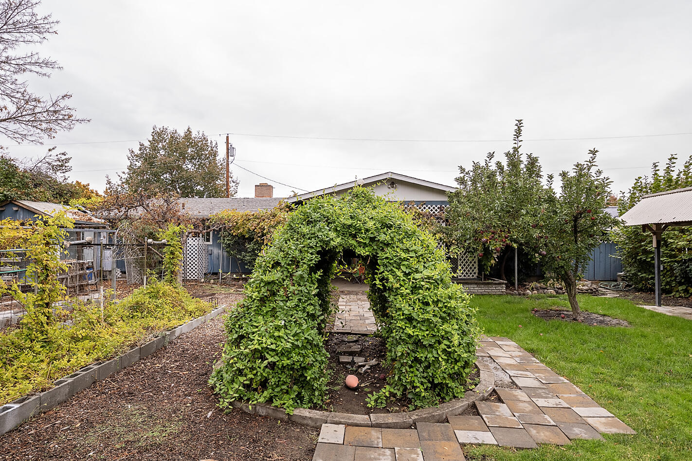 909 Comet Way