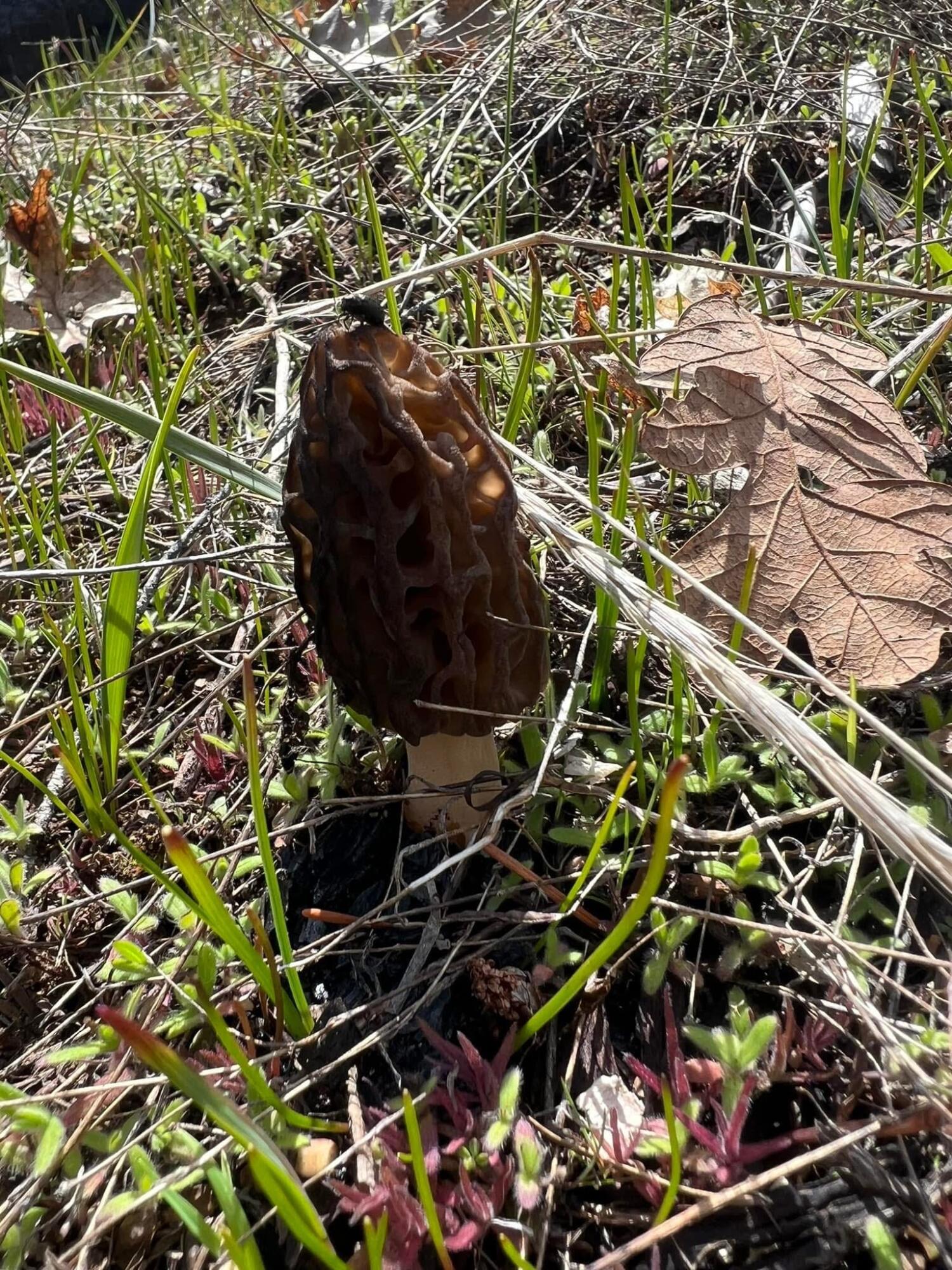 18781 E Evans Creek Road