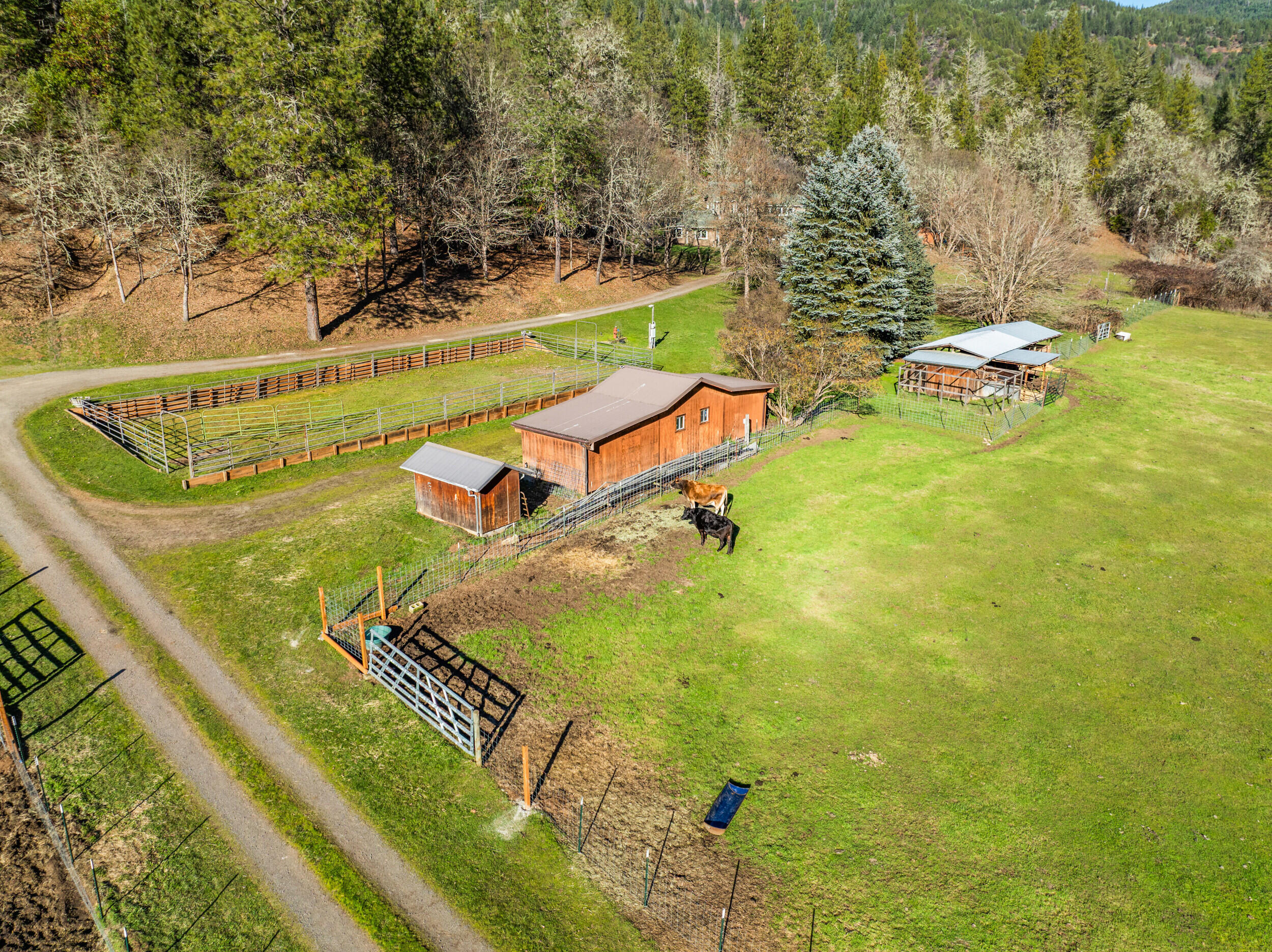 18781 E Evans Creek Road