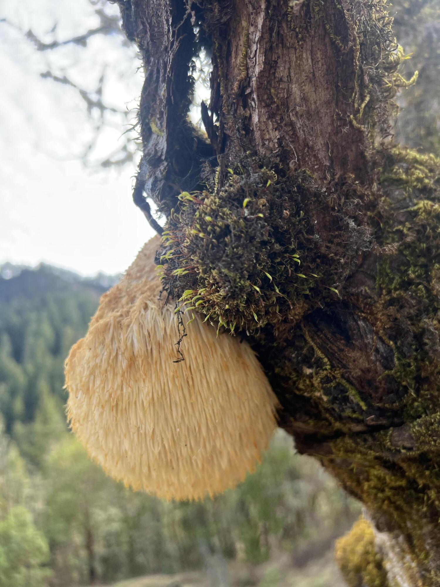 18781 E Evans Creek Road