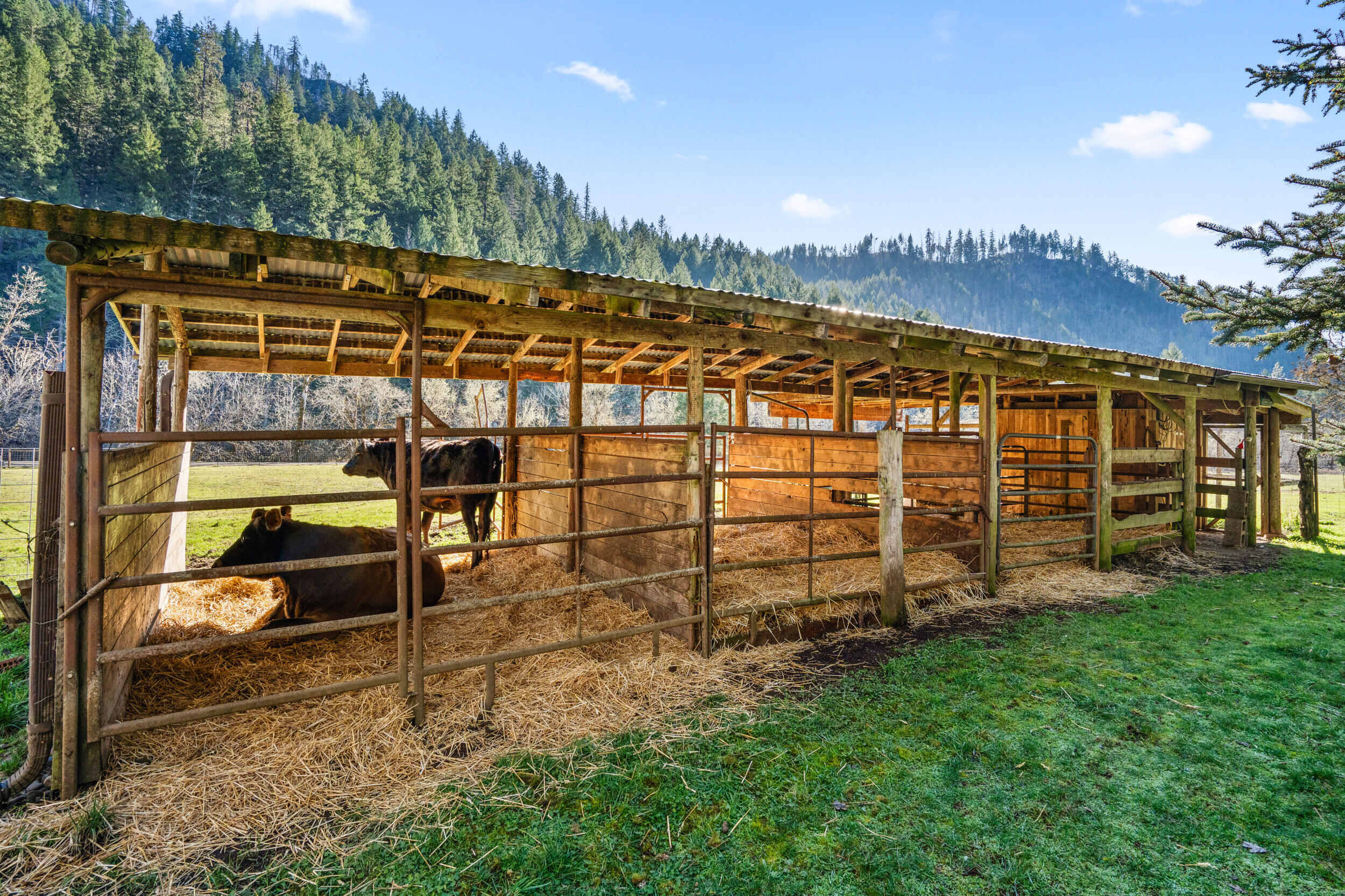 18781 E Evans Creek Road