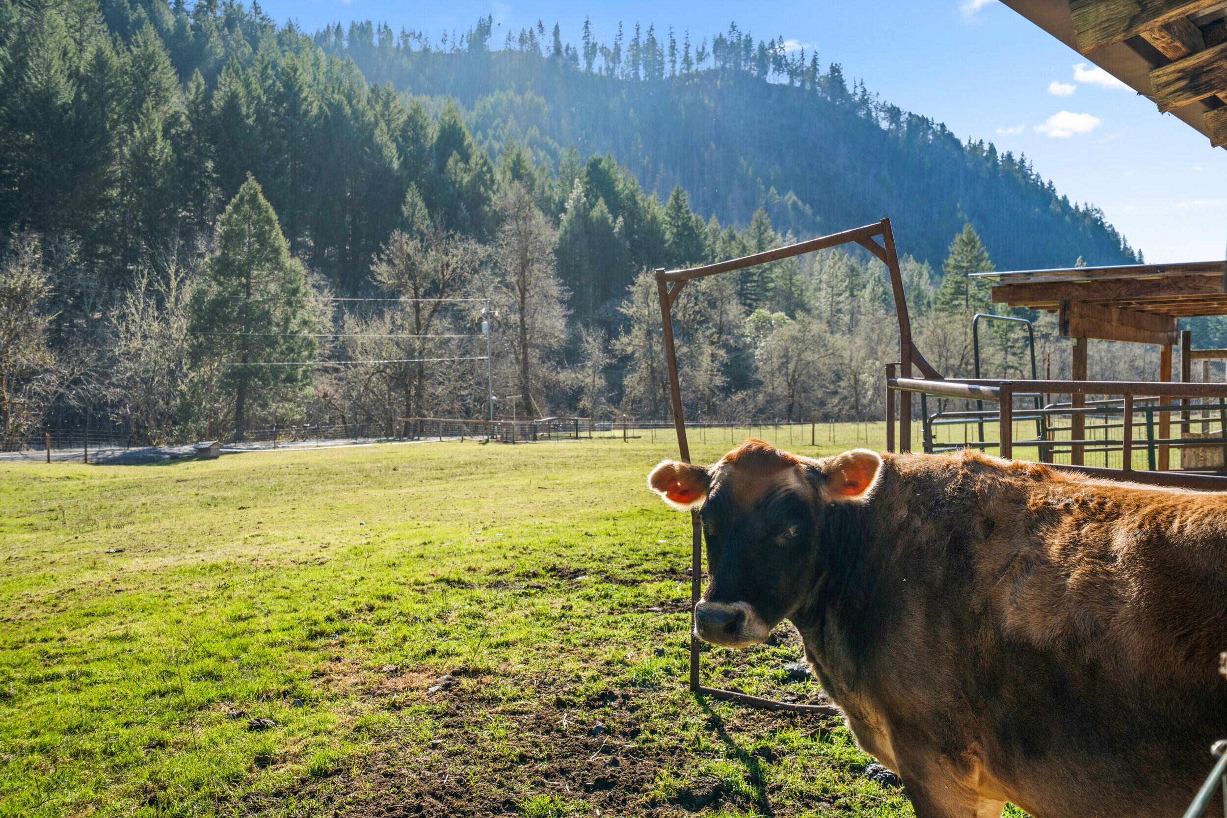 18781 E Evans Creek Road